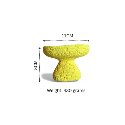 Unique Modern Design Holder